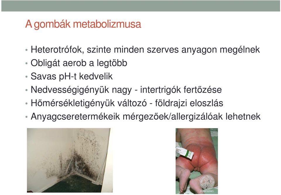 Nedvességigényük nagy - intertrigók fertőzése Hőmérsékletigényük