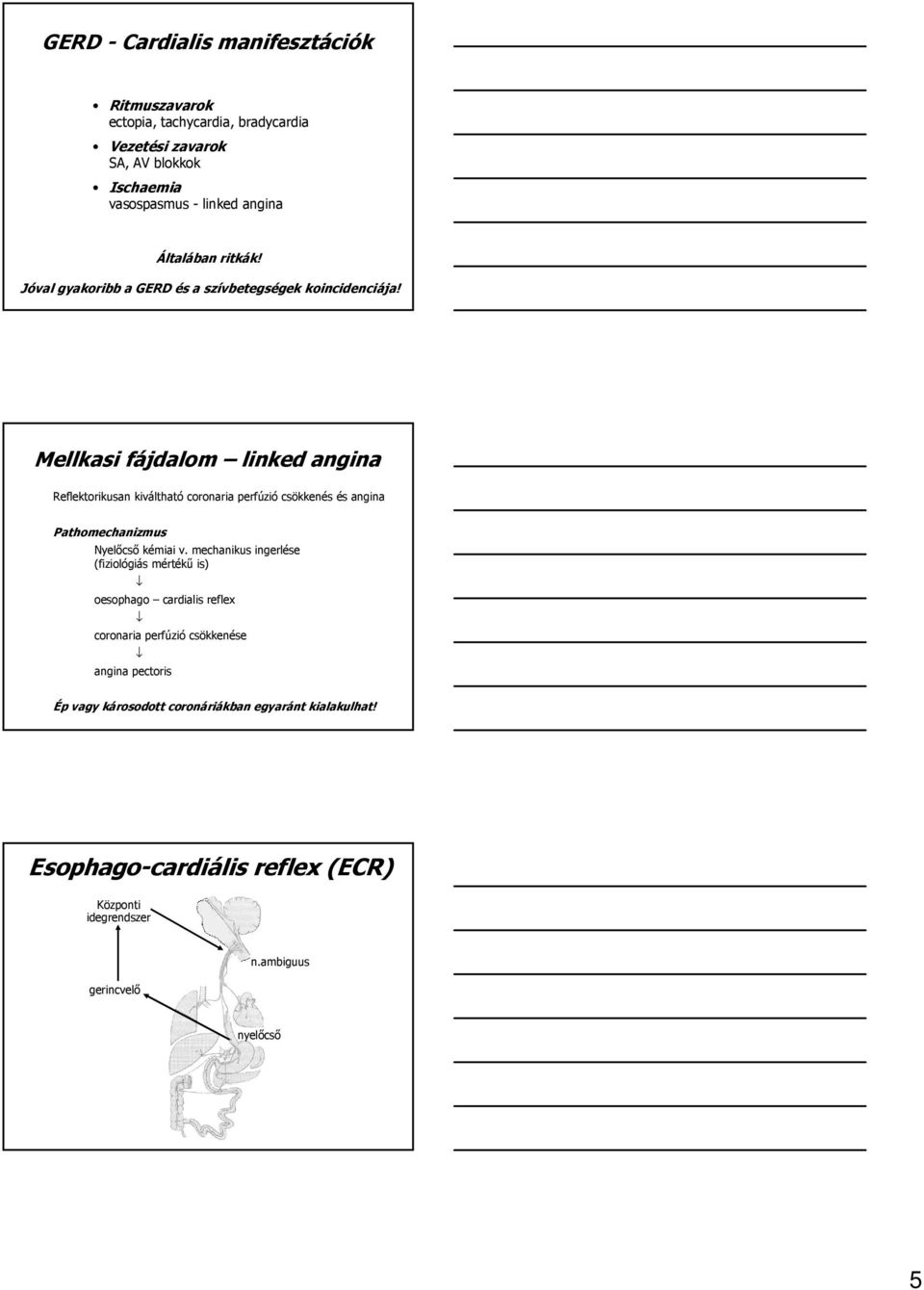 Mellkasi fájdalom linked angina Reflektorikusan kiváltható coronaria perfúzió csökkenés és angina Pathomechanizmus Nyelıcsı kémiai v.