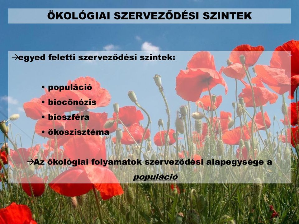 bioszféra ökoszisztéma Az ökológiai