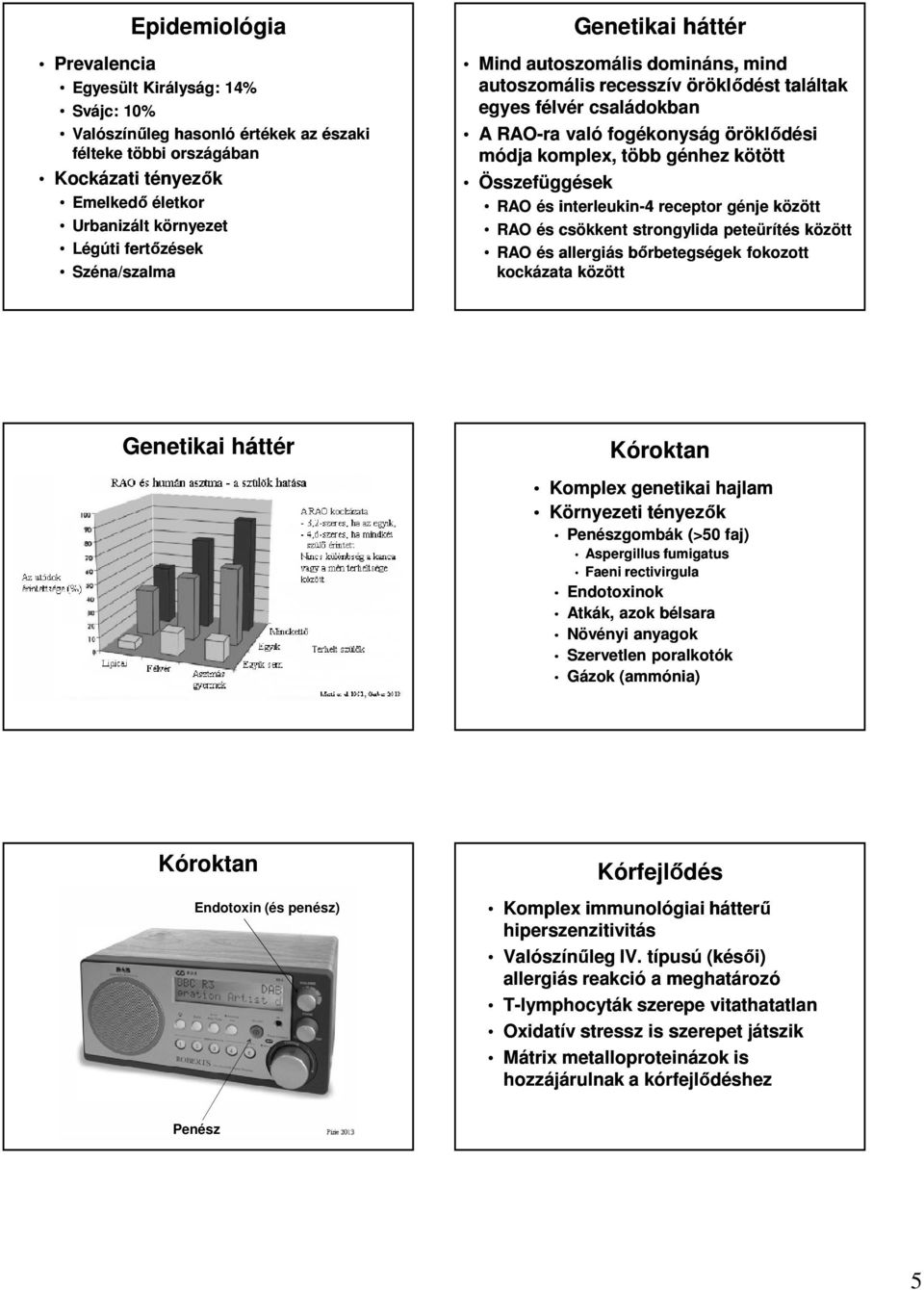 kötött Összefüggések RAO és interleukin-4 receptor génje között RAO és csökkent strongylida peteürítés között RAO és allergiás bőrbetegségek fokozott kockázata között Genetikai háttér Kóroktan