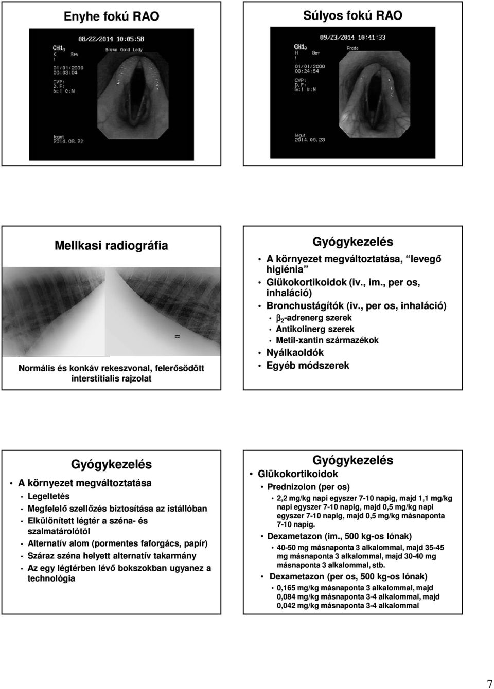 , per os, inhaláció) β 2 -adrenerg szerek Antikolinerg szerek Metil-xantin származékok Nyálkaoldók Egyéb módszerek A környezet megváltoztatása Legeltetés Megfelelő szellőzés biztosítása az istállóban