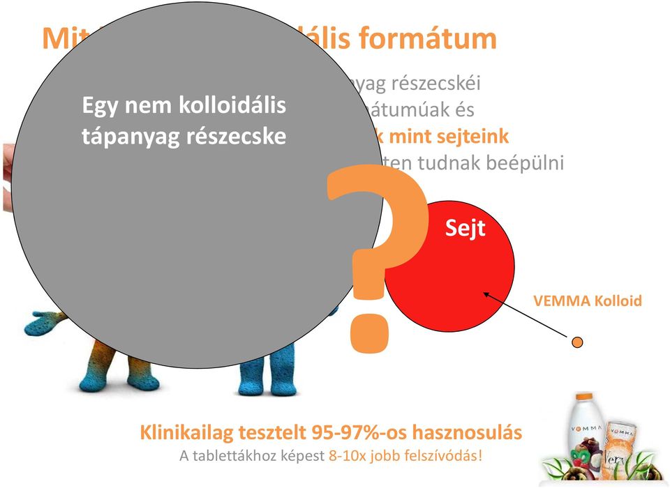 sejt-szinten tudnak beépülni Egy nem kolloidális tápanyag részecske Sejt VEMMA