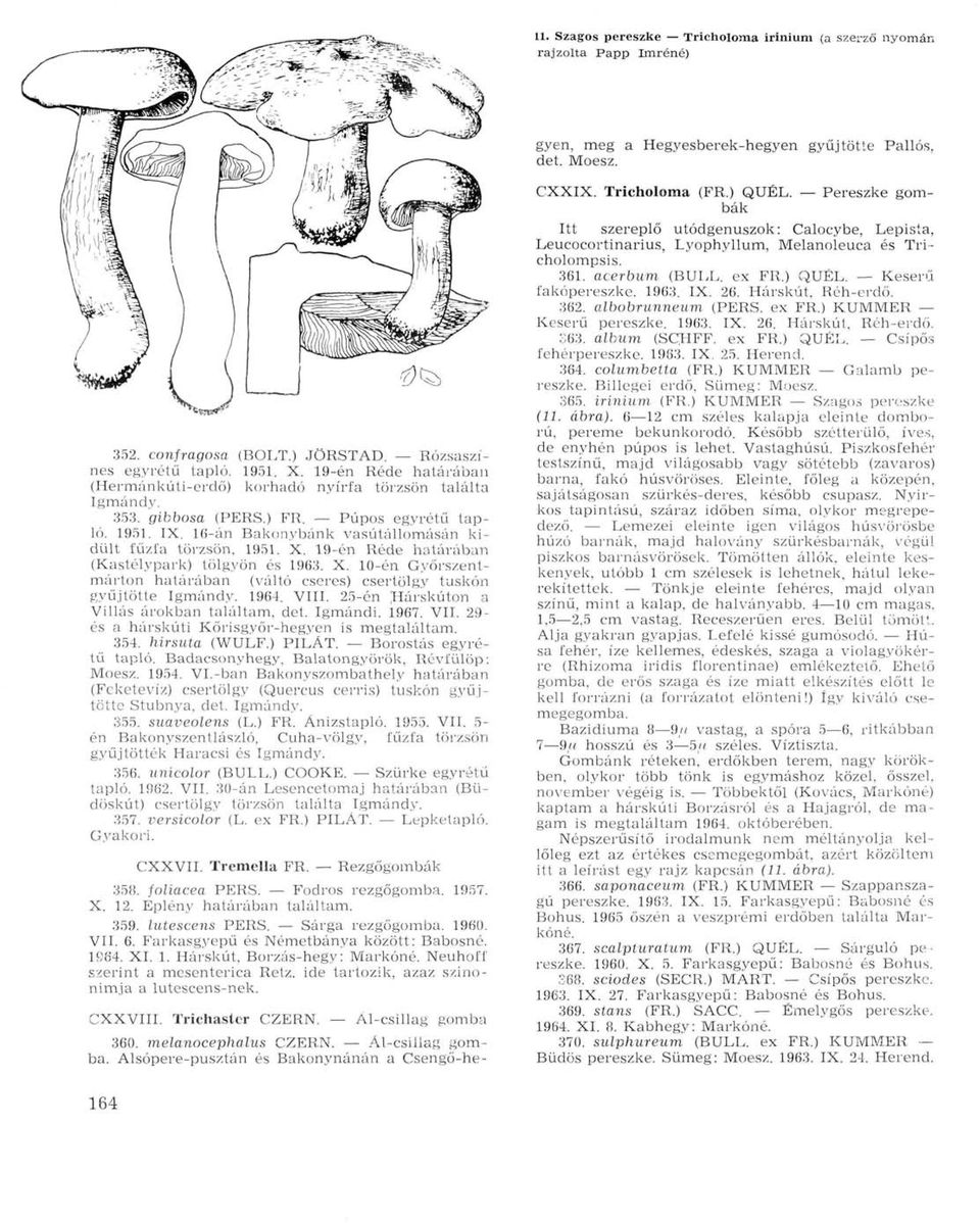 16-án Bakonybánk vasútállomásán kidűlt fűzfa törzsön, 1951. X. 19-én Réde határában (Kastélypark) tölgyön és 1963. X. 10-én Győrszentmárton határában (váltó cseres) csertölgy tuskón gyűjtötte Igmándy.