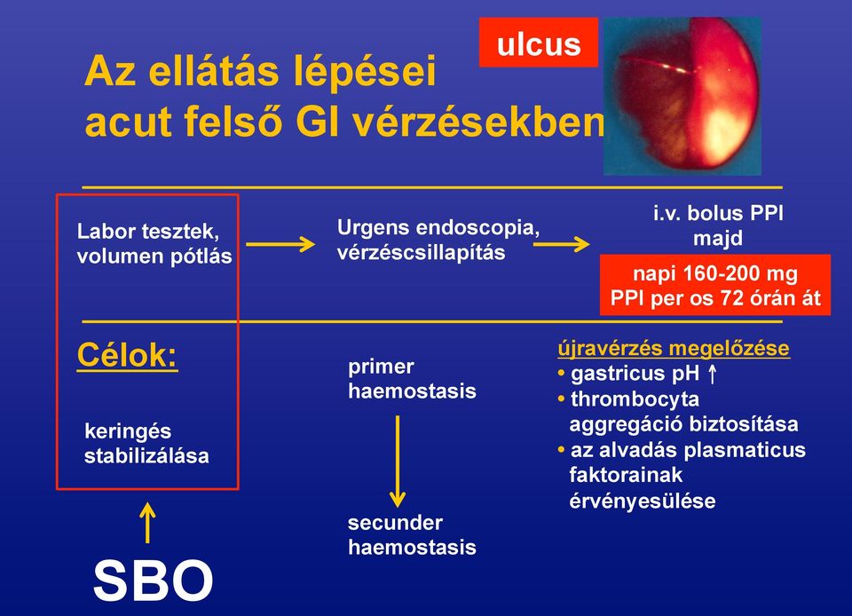 haemostasis i.v.