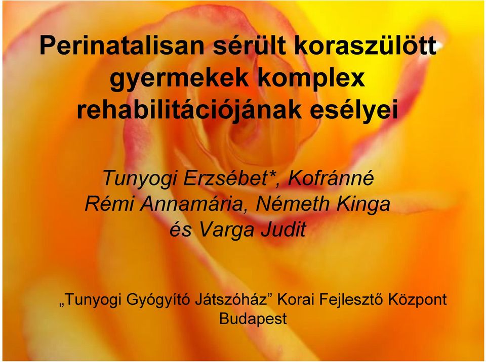 Kofránné Rémi Annamária, Németh Kinga és Varga Judit