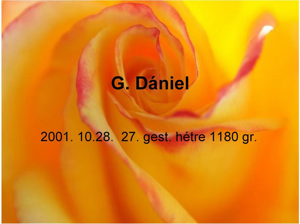 27. gest.