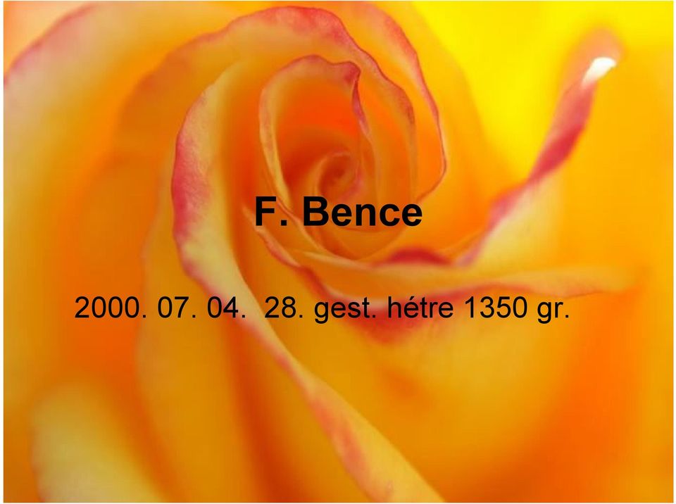 04. 28.