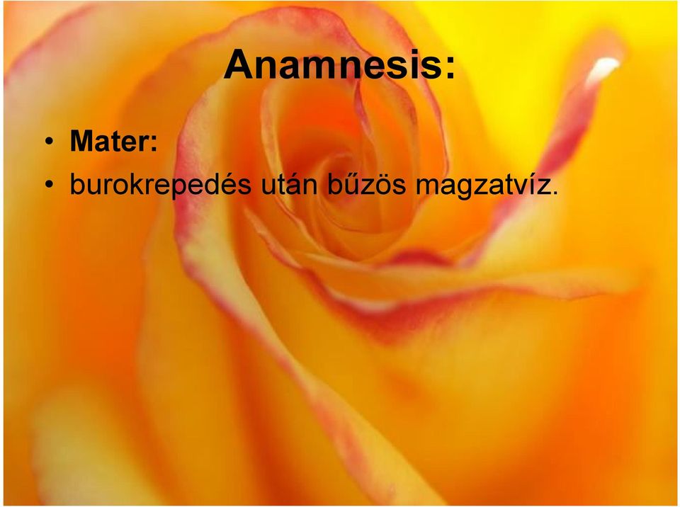 burokrepedés