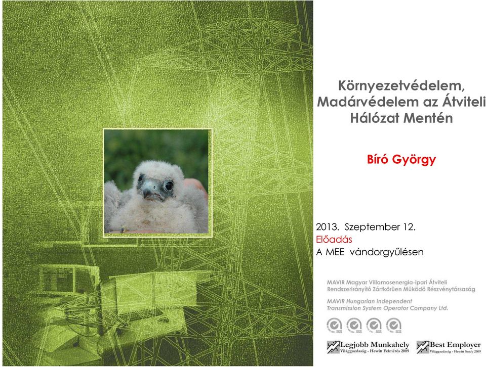 Hálózat Mentén Bíró György