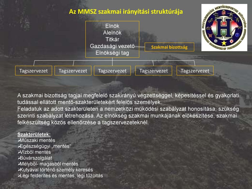 Feladatuk az adott szakterületen a nemzetközi működési szabályzat honosítása, szükség szerinti szabályzat létrehozása.