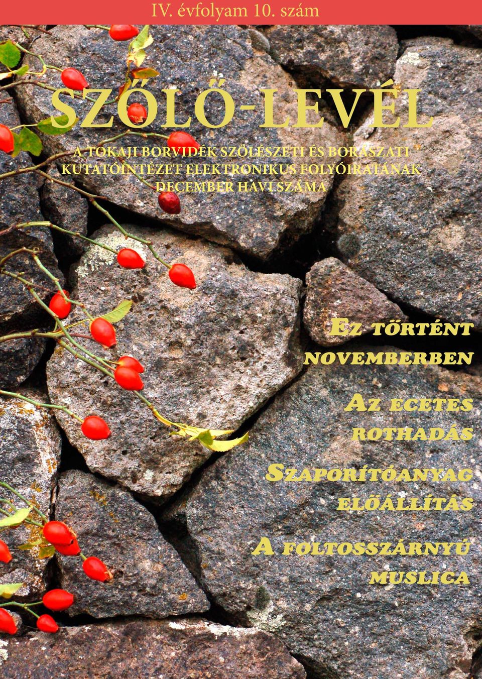 borászati kutatóintézet elektronikus folyóiratának