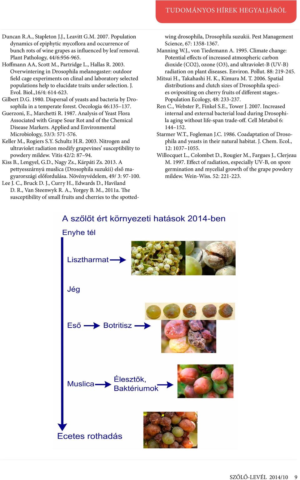 Overwintering in Drosophila melanogaster: outdoor field cage experiments on clinal and laboratory selected populations help to elucidate traits under selection. J. Evol. Biol.,16/4: 614-623.