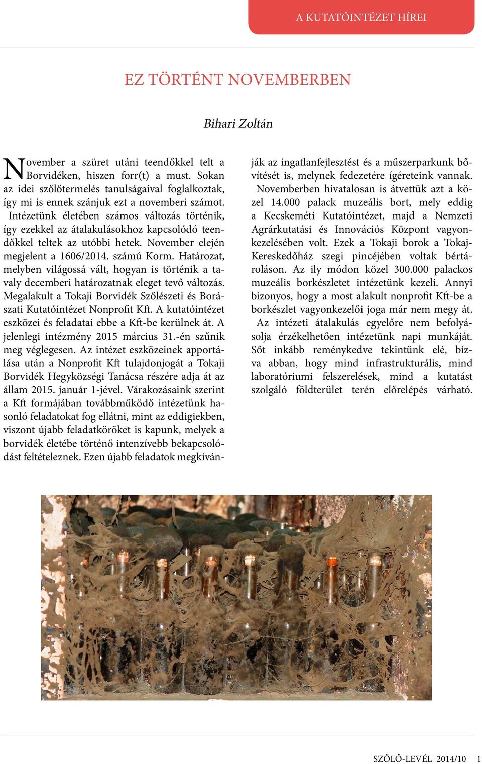Intézetünk életében számos változás történik, így ezekkel az átalakulásokhoz kapcsolódó teendőkkel teltek az utóbbi hetek. November elején megjelent a 1606/2014. számú Korm.