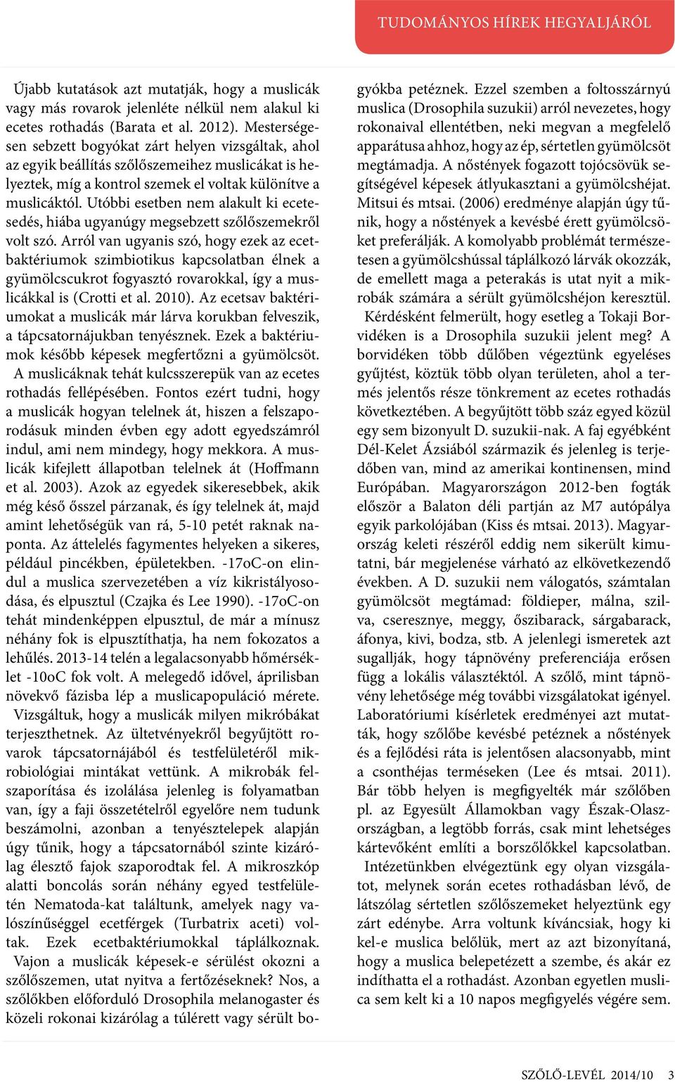 Utóbbi esetben nem alakult ki ecetesedés, hiába ugyanúgy megsebzett szőlőszemekről volt szó.