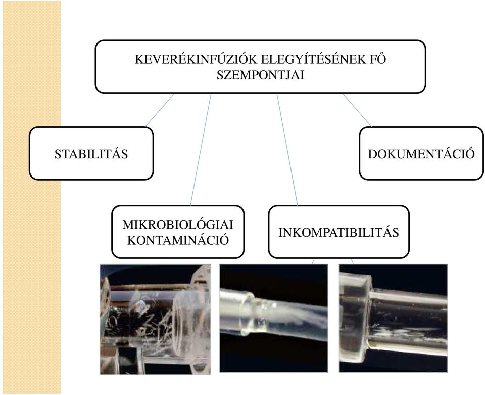 DOKUMENTÁCIÓ MIKROBIOLÓGIAI