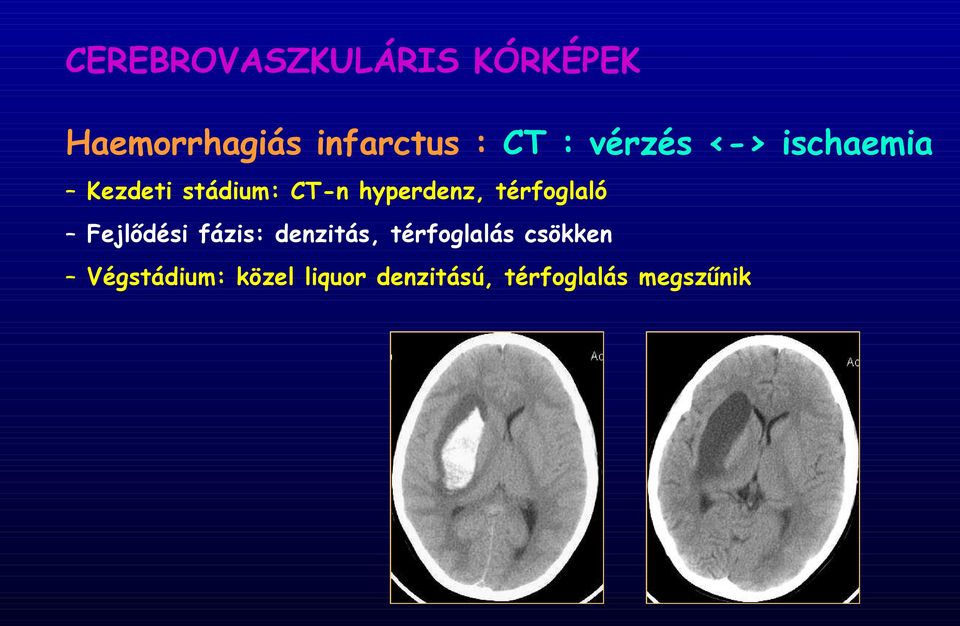 térfoglaló Fejlődési fázis: denzitás, térfoglalás
