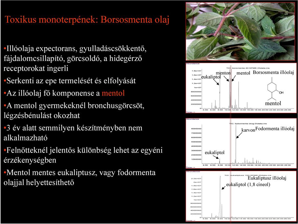 Mentol mentes eukaliptusz, vagy fodormenta olajjal helyettesíthető Abundance 1.8e+07 1.6e+07 1.4e+07 1.2e+07 1e+07 8000000 6000000 4000000 2000000 menton eukaliptol TIC: borsmenta 40 SPME.D\data.