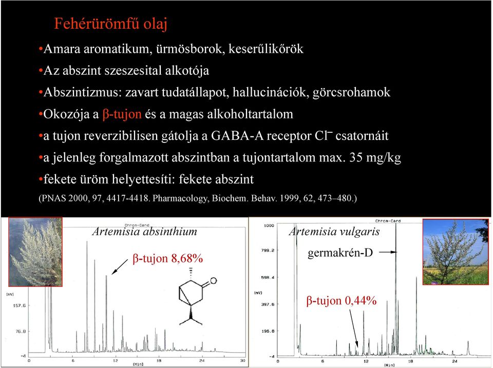 csatornáit a jelenleg forgalmazott abszintban a tujontartalom max.