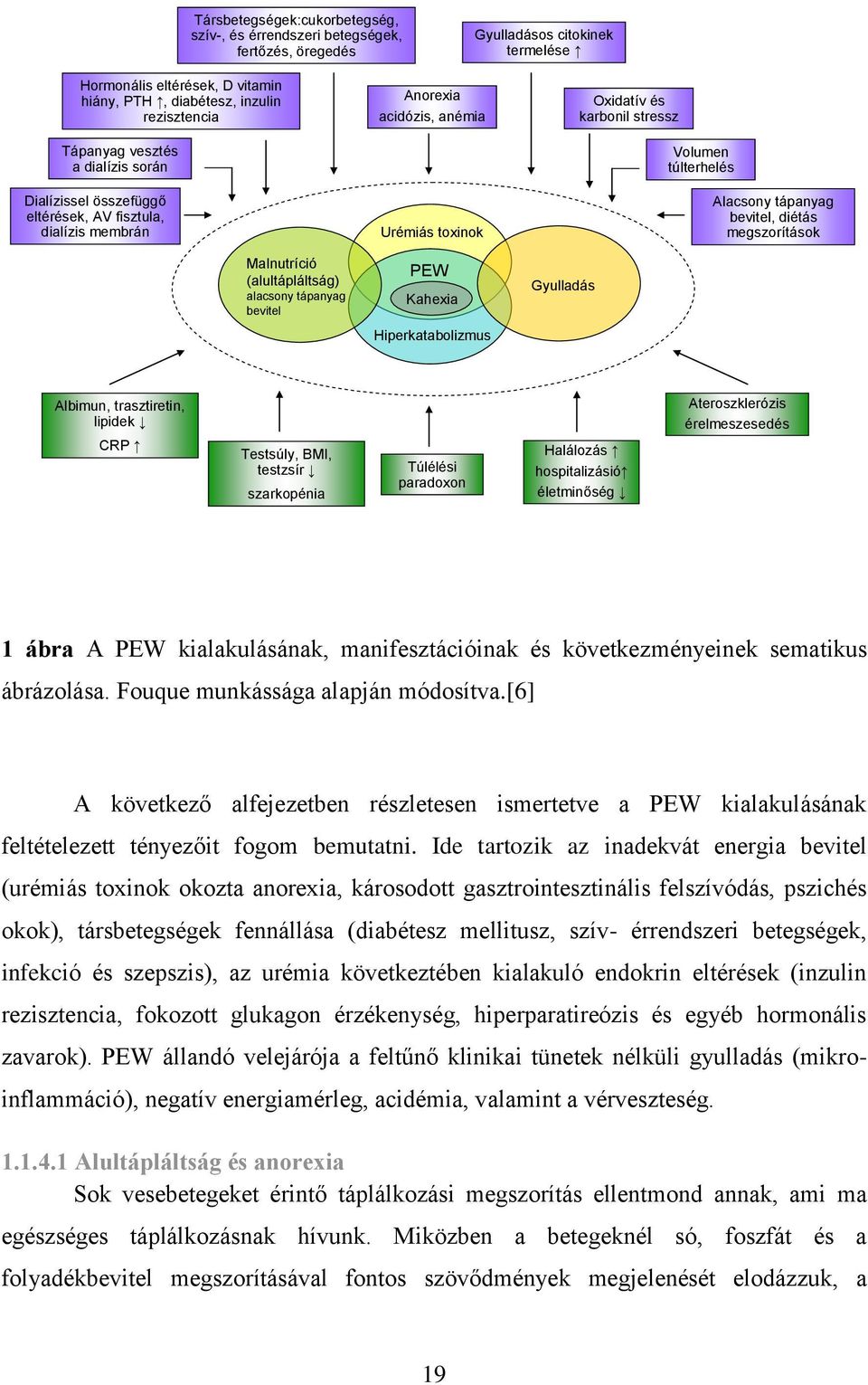 Hiperkatabolizmus Gyulladás Oxidatív és karbonil stressz Volumen túlterhelés Alacsony tápanyag bevitel, diétás megszorítások Albimun, trasztiretin, lipidek CRP Testsúly, BMI, testzsír szarkopénia