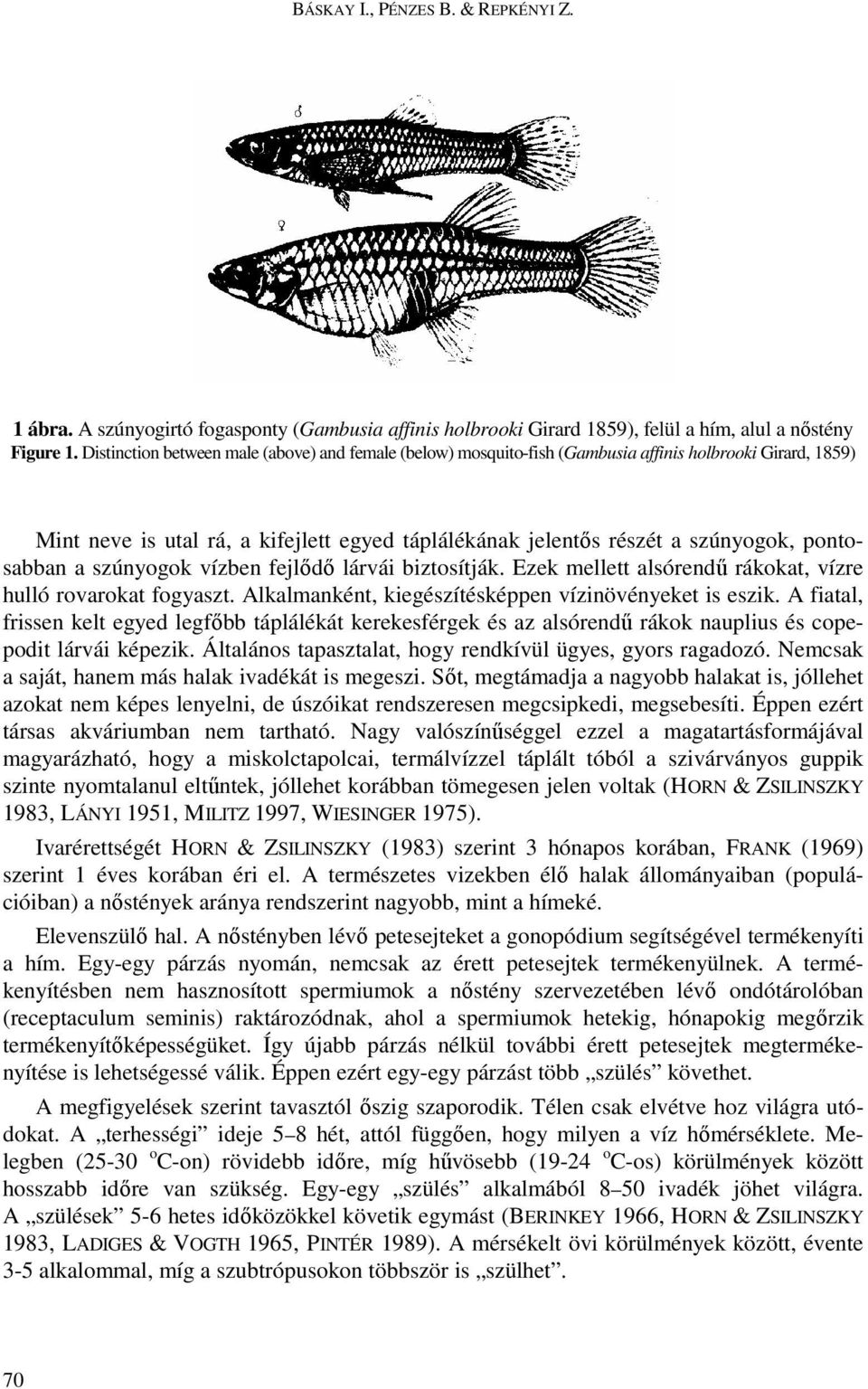 pontosabban a szúnyogok vízben fejlıdı lárvái biztosítják. Ezek mellett alsórendő rákokat, vízre hulló rovarokat fogyaszt. Alkalmanként, kiegészítésképpen vízinövényeket is eszik.