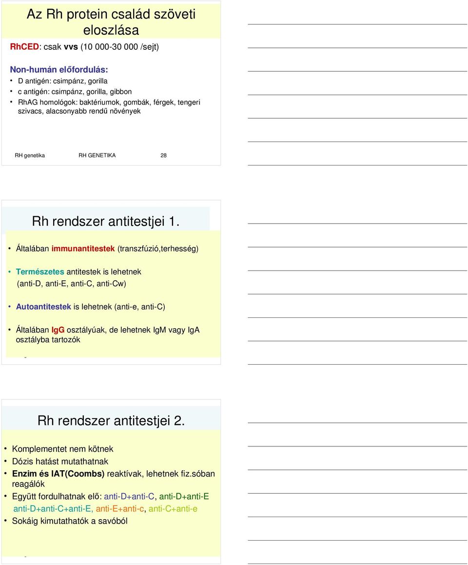 Általában immunantitestek (transzfúzió,terhesség) Természetes antitestek is lehetnek (anti-d, anti-e, anti-c, anti-cw) Autoantitestek is lehetnek (anti-e, anti-c) Általában IgG osztályúak, de