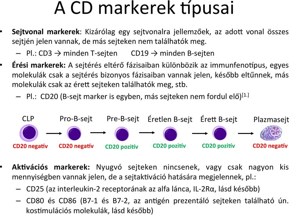más molekulák csak az éreq sejteken találhatók meg, stb. Pl.: CD20 (B-sejt marker is egyben, más sejteken nem fordul elő) [1.