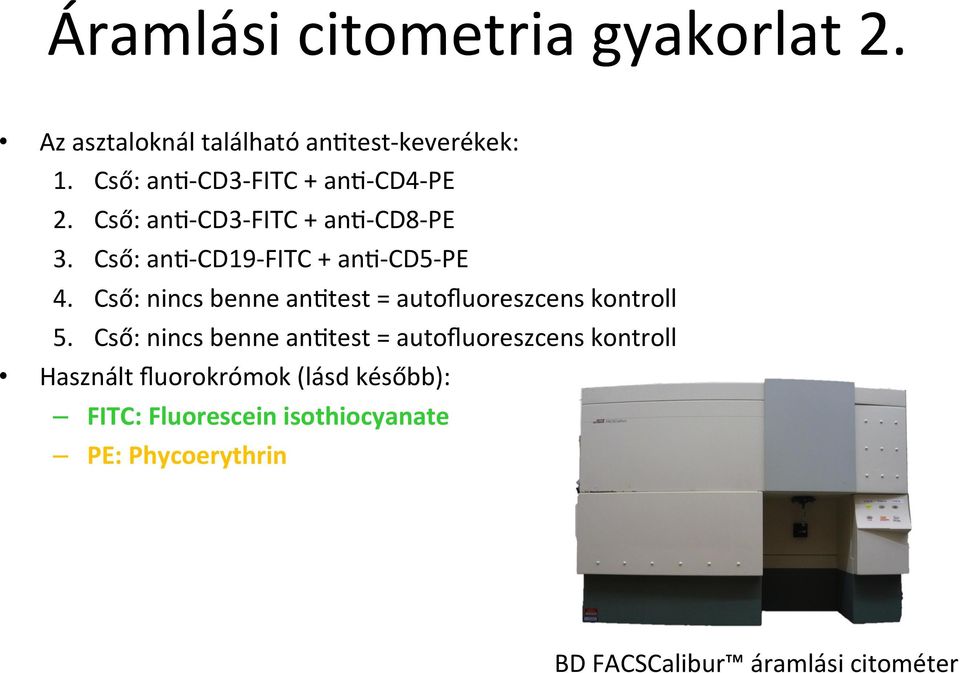 Cső: nincs benne anmtest = autofluoreszcens kontroll 5.