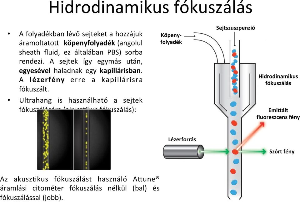 Ultrahang is használható a sejtek fókuszálására (akuszmkus fókuszálás): Köpenyfolyadék Sejtszuszpenzió Hidrodinamikus fókuszálás