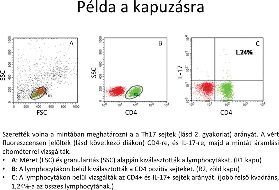 A: Méret (FSC) és granularitás (SSC) alapján kiválasztoqák a lymphocytákat.