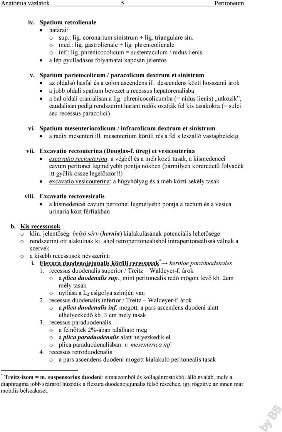 descendens közti hosszanti árok a jobb oldali spatium bevezet a recessus hepatorenalisba a bal oldali cranialisan a lig.