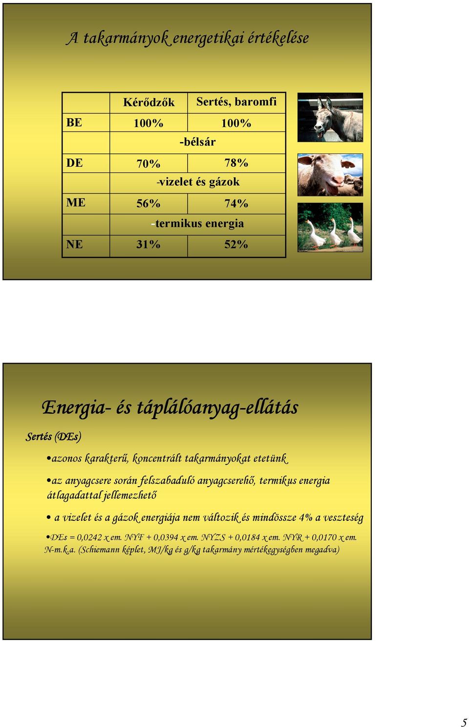 anyagcserehő, termikus energia átlagadattal jellemezhető a vizelet és a gázok energiája nem változik és mindössze 4% a veszteség DEs = 0,0242