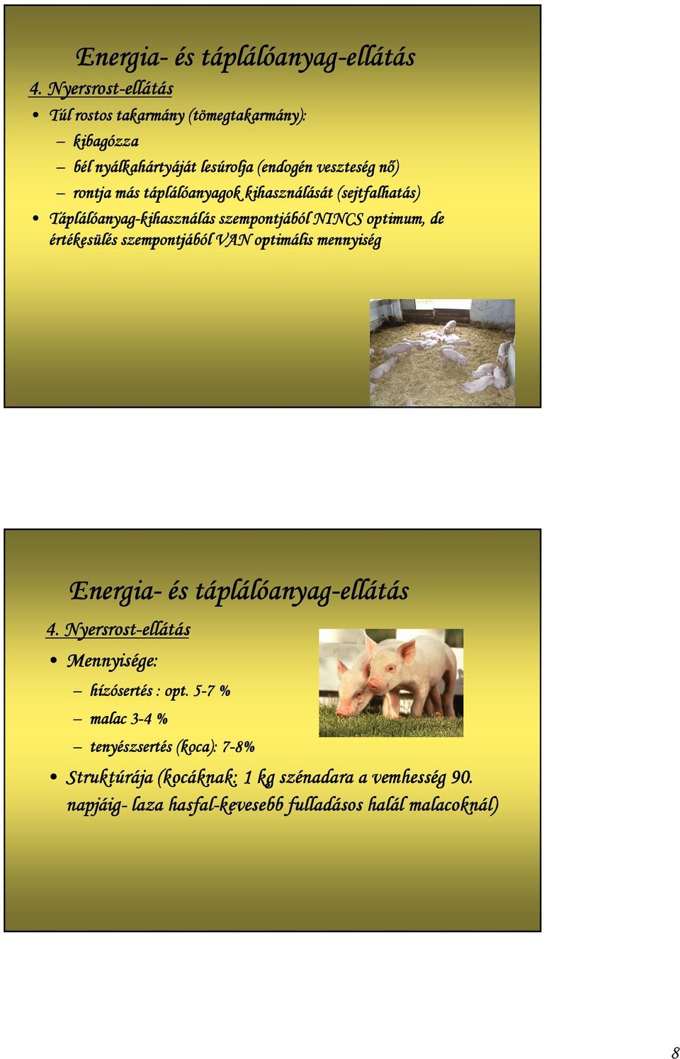 táplálóanyagok kihasználását (sejtfalhatás) Táplálóanyag-kihasználás szempontjából NINCS optimum, de értékesülés szempontjából VAN