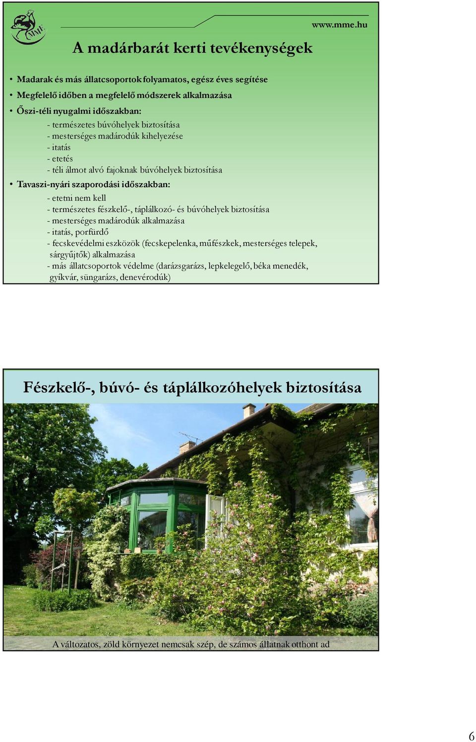 fészkelő-, táplálkozó- és búvóhelyek biztosítása - mesterséges madárodúk alkalmazása - itatás, porfürdő - fecskevédelmi eszközök (fecskepelenka, műfészkek, mesterséges telepek, sárgyűjtők)