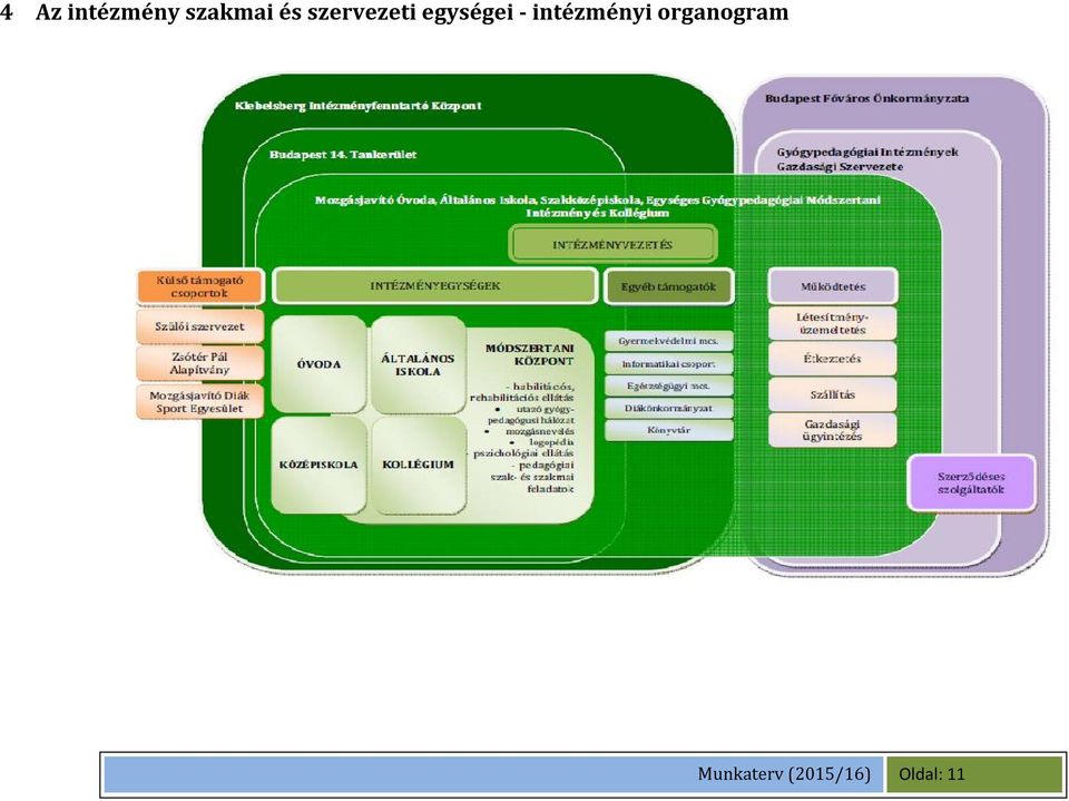 intézményi organogram