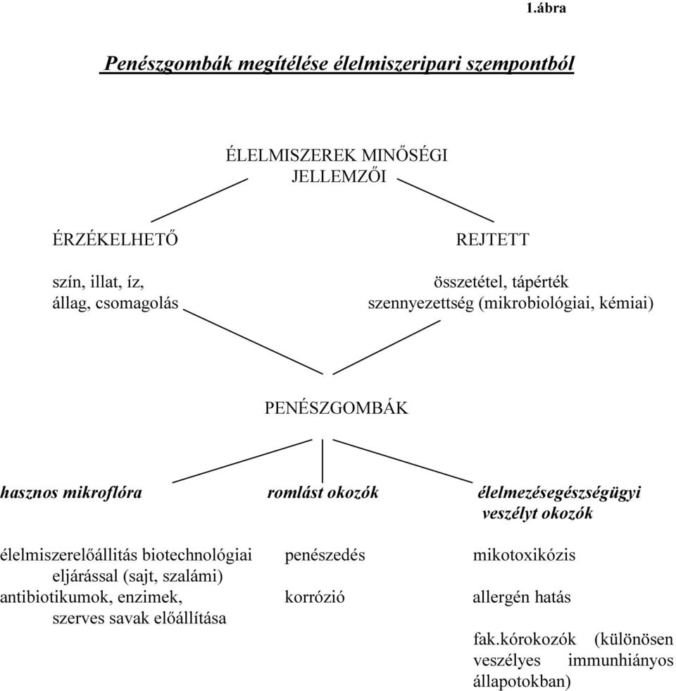 élelmezésegészségügyi veszélyt okozók élelmiszerelőállitás biotechnológiai penészedés mikotoxikózis eljárással (sajt, szalámi)