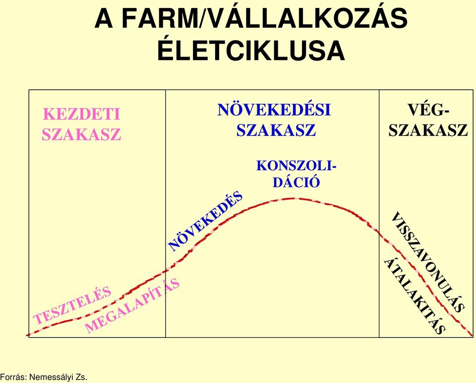 NÖVEKEDÉSI SZAKASZ KONSZOLI-