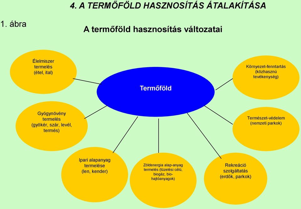 (közhasznú tevékenység) Termőföld Gyógynövény termelés (gyökér, szár, levél, termés)