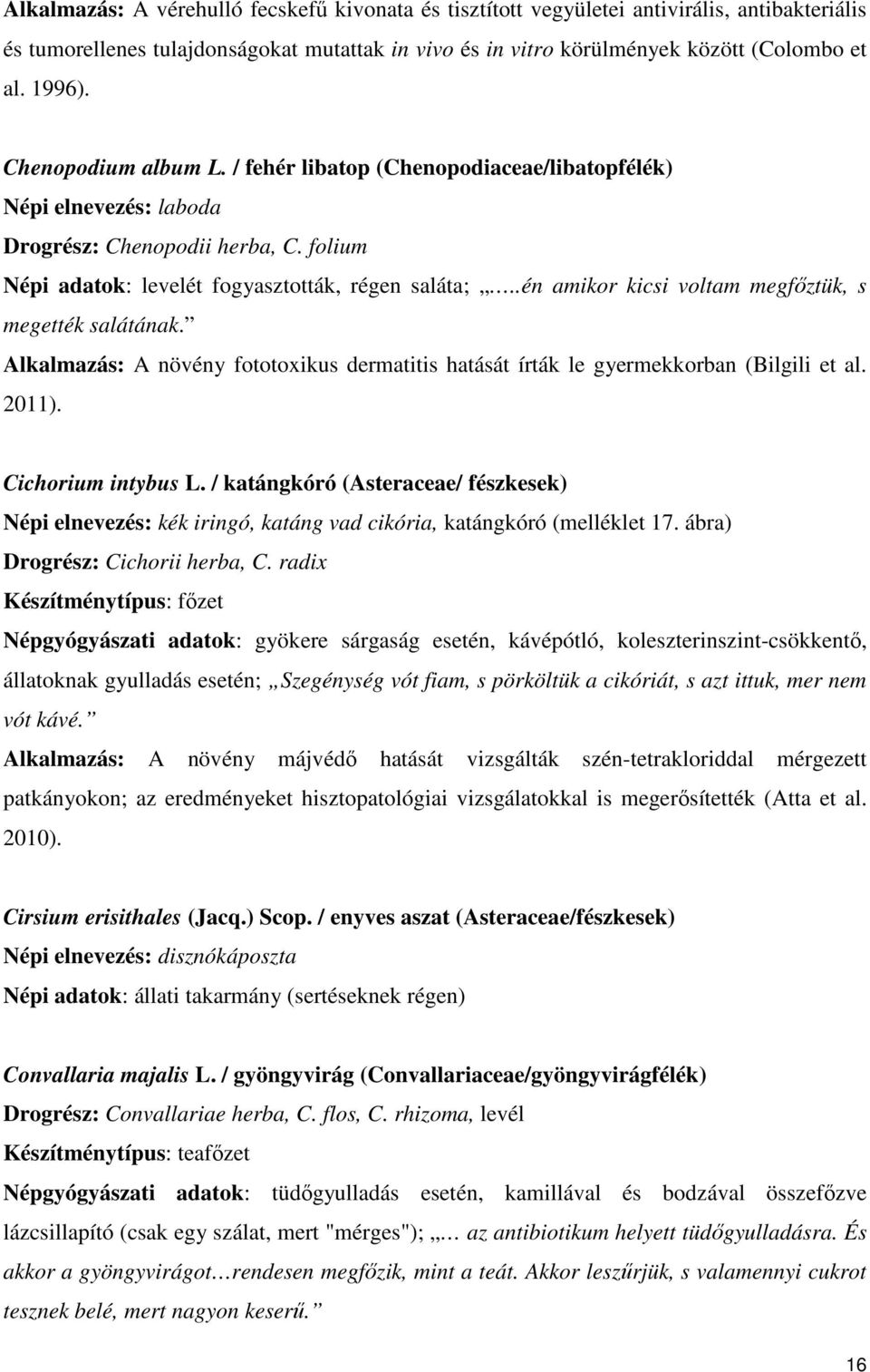 .én amikor kicsi voltam megfıztük, s megették salátának. Alkalmazás: A növény fototoxikus dermatitis hatását írták le gyermekkorban (Bilgili et al. 2011). Cichorium intybus L.
