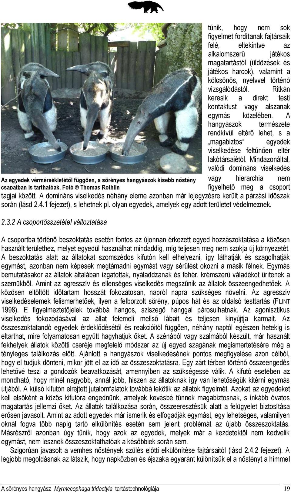 vizsgálódástól. Ritkán keresik a direkt testi kontaktust vagy alszanak egymás közelében.