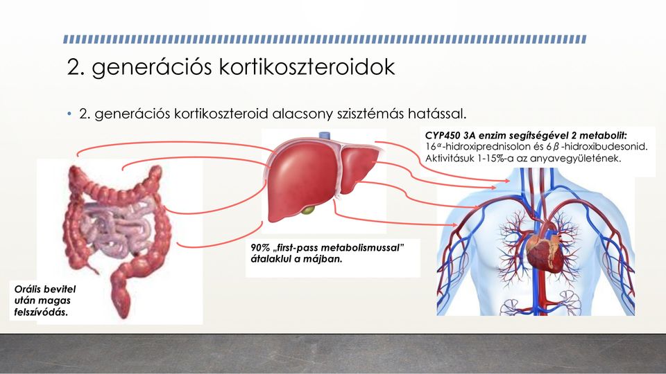 CYP450 3A enzim segítségével 2 metabolit: 16 α -hidroxiprednisolon és