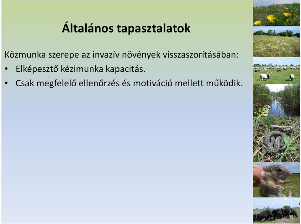 Elképesztő kézimunka kapacitás.