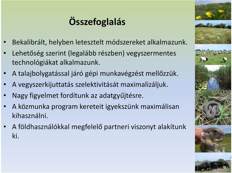 A talajbolygatással járó gépi munkavégzést mellőzzük. A vegyszerkijuttatás szelektivitását maximalizáljuk.