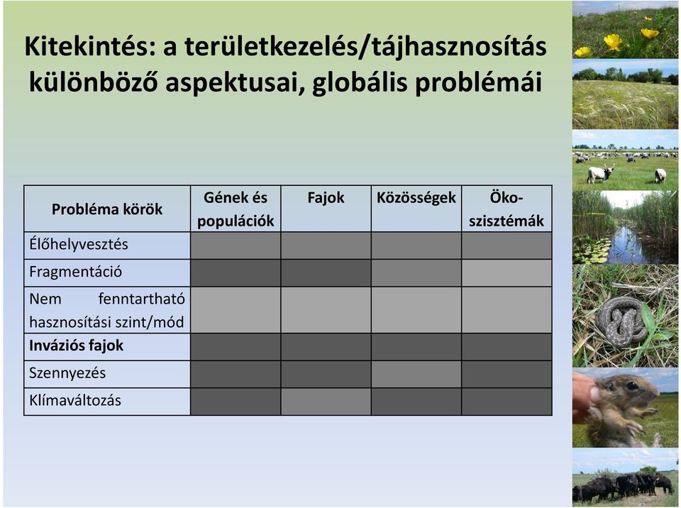 Fragmentáció Nem fenntartható hasznosítási szint/mód Inváziós