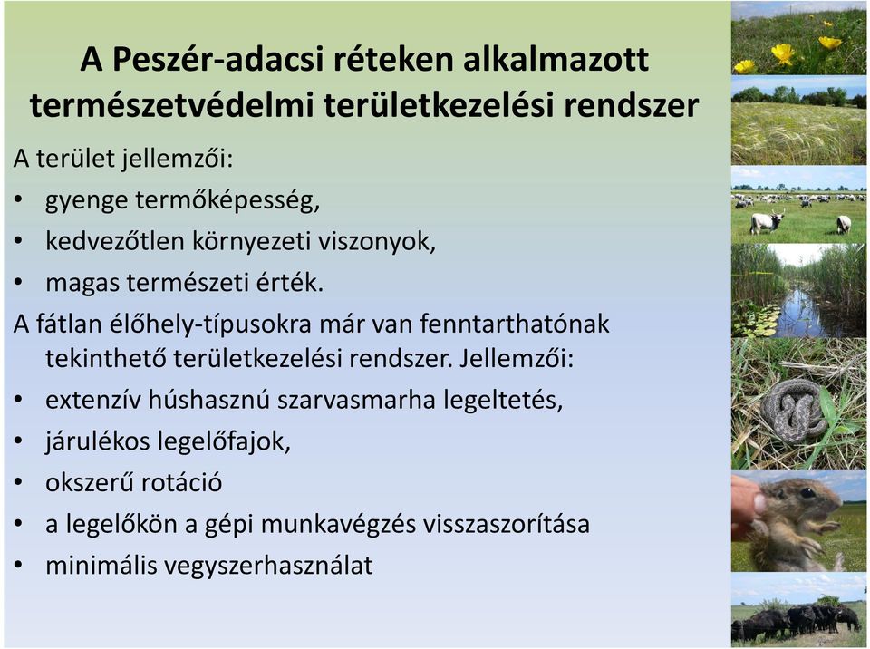 A fátlan élőhely-típusokra már van fenntarthatónak tekinthető területkezelési rendszer.