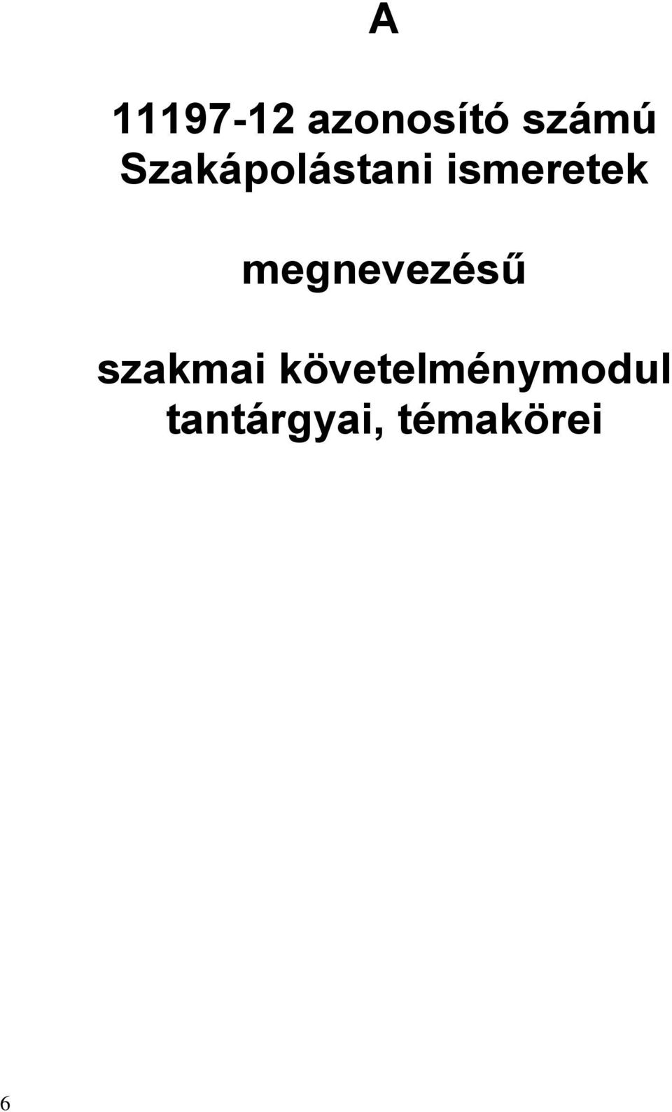 megnevezésű szakmai