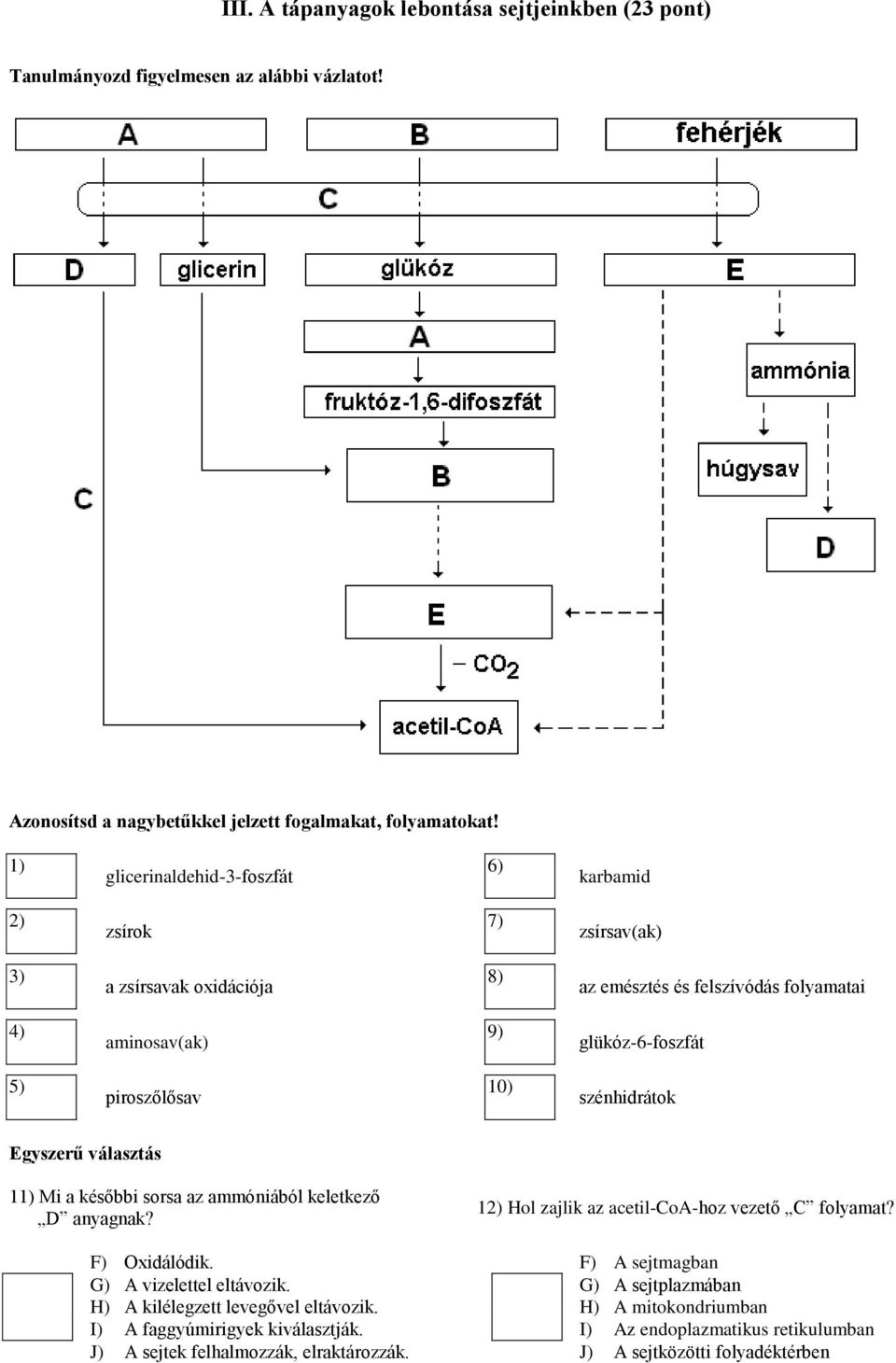 szénhidrátok Egyszerű választás 11) Mi a későbbi sorsa az ammóniából keletkező D anyagnak? 12) Hol zajlik az acetil-coa-hoz vezető C folyamat? F) Oxidálódik.