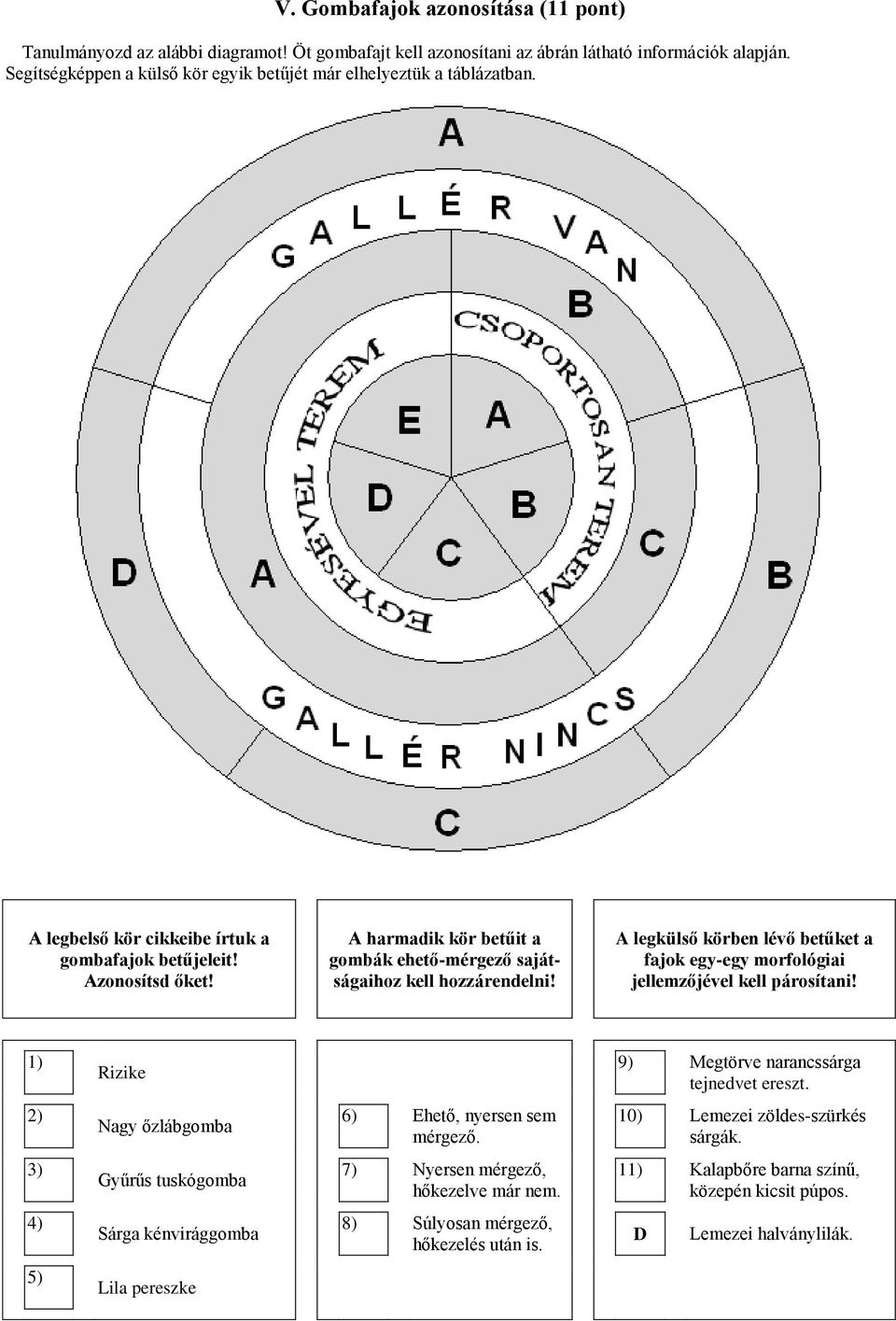 A harmadik kör betűit a gombák ehető-mérgező sajátságaihoz kell hozzárendelni! A legkülső körben lévő betűket a fajok egy-egy morfológiai jellemzőjével kell párosítani!