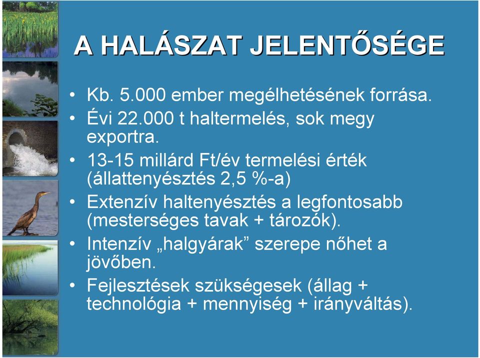 13-15 millárd Ft/év termelési érték (állattenyésztés 2,5 %-a) Extenzív haltenyésztés a