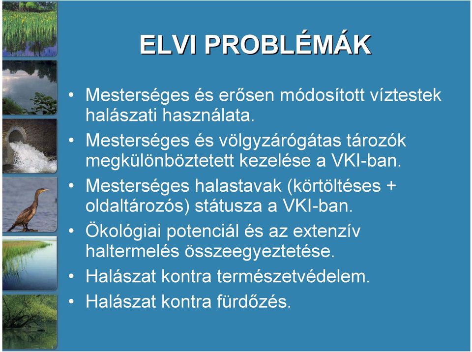 Mesterséges halastavak (körtöltéses + oldaltározós) státusza a VKI-ban.