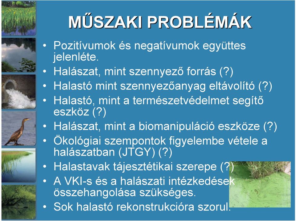 ) Halászat, mint a biomanipuláció eszköze (?) Ökológiai szempontok figyelembe vétele a halászatban (JTGY) (?